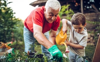 Gardening and people living with dementia