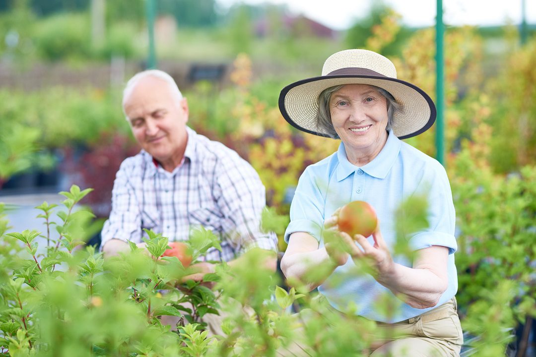 Rosa & Arnaldo's experience travelling after a dementia diagnosis