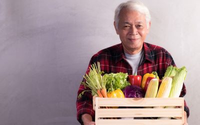 Nutrition and dementia