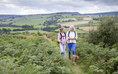 3.8 Dementia makes activities outside home harder